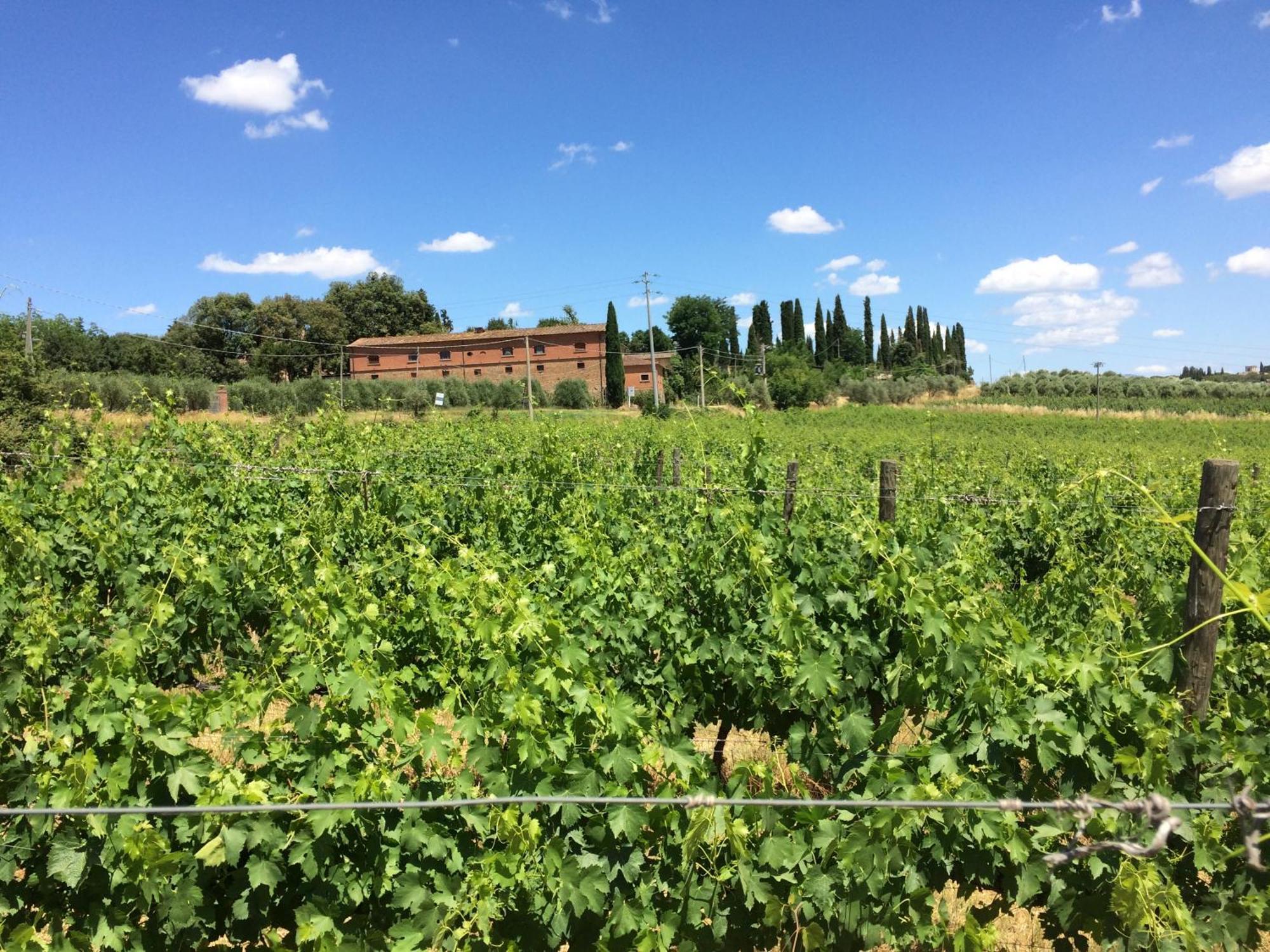 Agriturismo Fattoria Santa Vittoria Pozzo  Luaran gambar